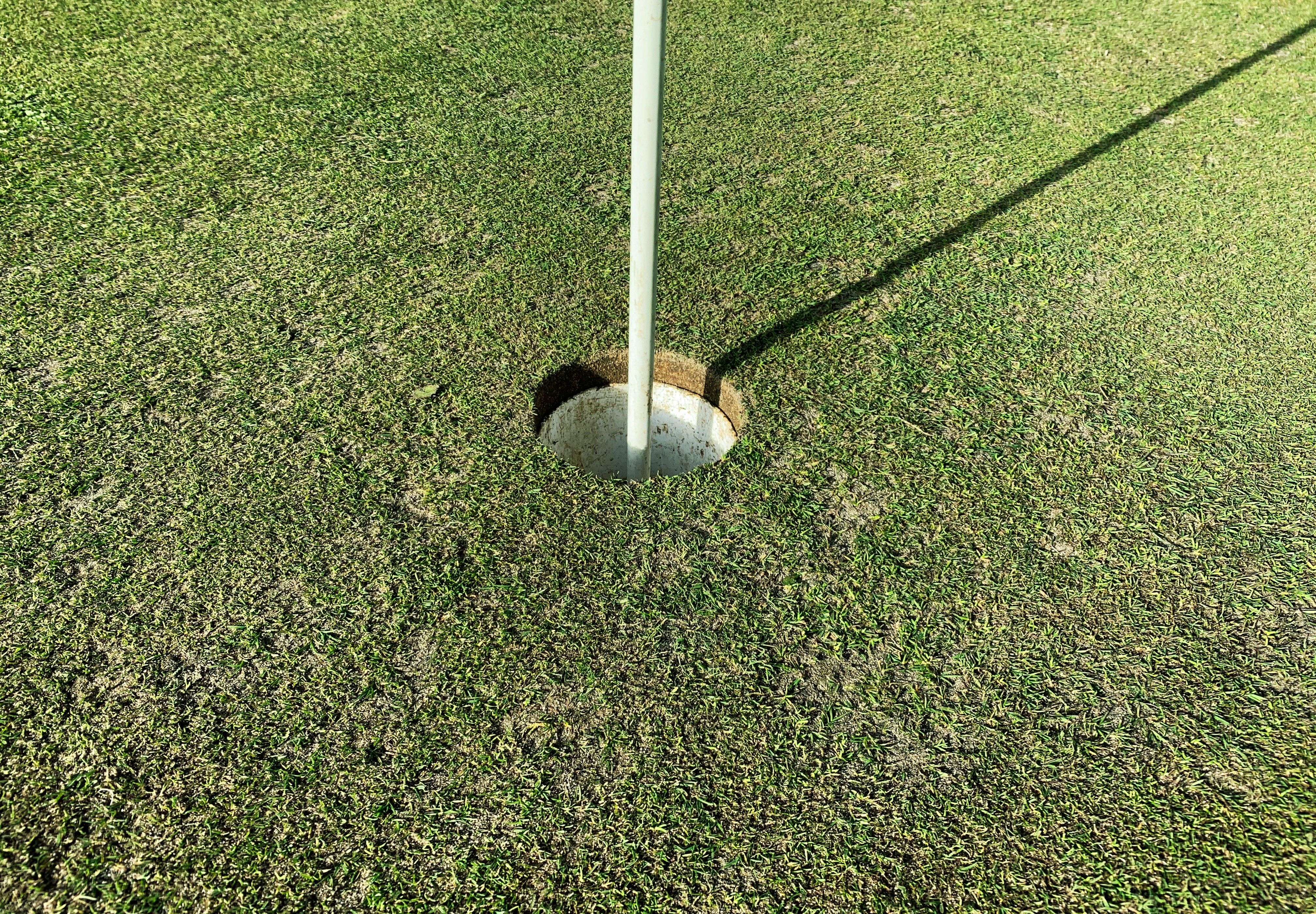 Palos de Golf y Hoyo en uno
